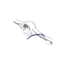 FLEXIBLE FREINS ARRIERE