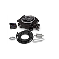 SNIPER EFI + FUEL SYSTEM